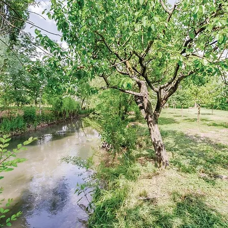 1 Bedroom Cozy In -pd- * Sacile